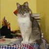 Отзыв от Алеся Анисимова